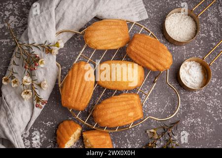 Gitter mit leckeren Madeleinen und Blumen auf grauem Hintergrund Stockfoto