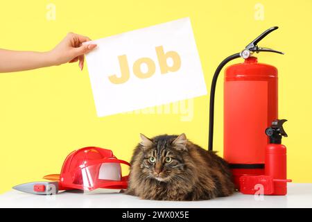 Feuerwehrausrüstung, süße Katze und weibliche Hand mit WORTJOB auf gelbem Hintergrund Stockfoto