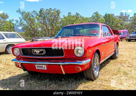 Einer der ursprünglichen Ford V8 Mustangs aus dem Jahr 161, der 1966 nach Australien exportiert und werkseitig auf Rechtslenkung umgebaut wurde. Stockfoto