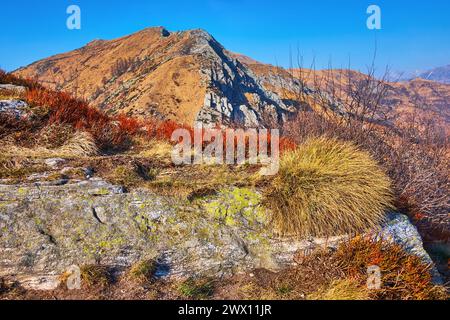 Die frühe Frühjahrsnatur der Lepontinischen Alpen - trockene gelbe und rote Gräser am felsigen Hang des Cimetta-Berges gegen die Cima Madone, Tessin, Schweiz Stockfoto