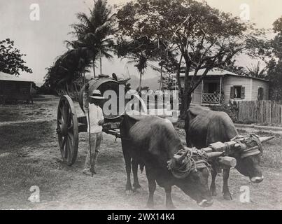 Wasserverkäufer, Puerto Rico CA. 1935 Stockfoto