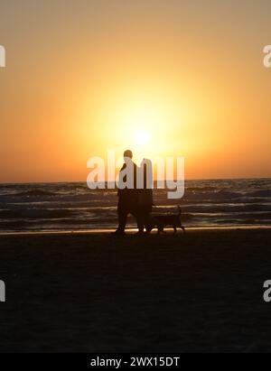 Ein Paar spaziert mit ihrem Hund am Strand während des Sonnenuntergangs in Tel Aviv, Israel. Stockfoto