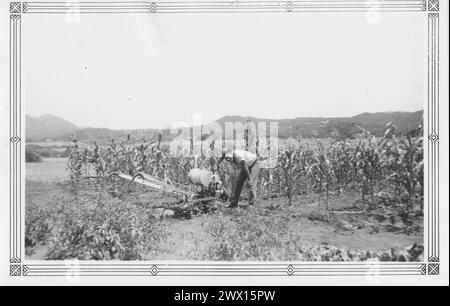 Viejas Band of Kumeyaay Indians: Foto von Adolph Brown aus dem Baron Long Reservation, der seinen 3,5 PS starken Vaughn-Traktor zur Arbeit seines Corn Patch Ca startete. 1936-1942 Stockfoto