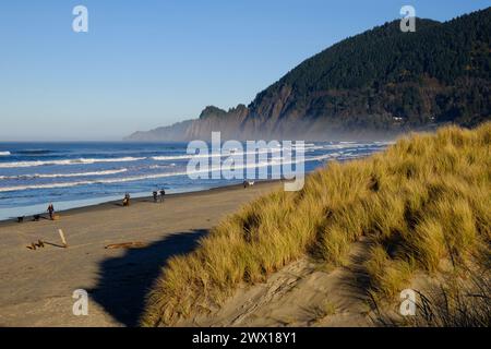 Strandszenen am Neahkahnie Beach in Manzanita, Oregon, USA, Pazifischer Nordwesten. Stockfoto