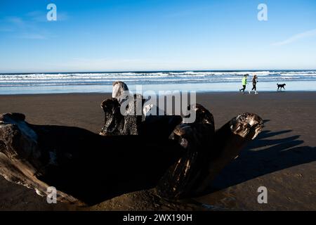 Strandszenen am Neahkahnie Beach in Manzanita, Oregon, USA, Pazifischer Nordwesten. Stockfoto