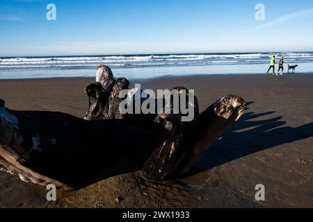 Strandszenen am Neahkahnie Beach in Manzanita, Oregon, USA, Pazifischer Nordwesten. Stockfoto