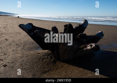 Strandszenen am Neahkahnie Beach in Manzanita, Oregon, USA, Pazifischer Nordwesten. Stockfoto