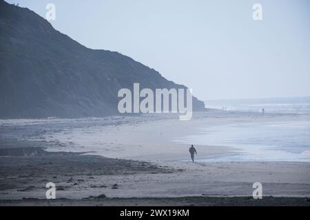 Short Sands Beach im Oswald West State Park in der Nähe von Manzanita, Oregon, USA. Stockfoto