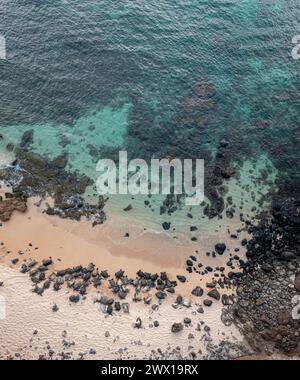 Panoramablick auf grüne Meeresschildkröten, Chelonia mydas ( bedrohte Arten ), die sich am Strand im Ho'okipa Beach Park, Maui, Hawaii, USA, sonnen Stockfoto
