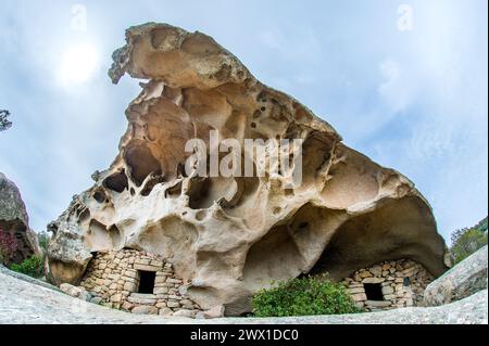 FRANKREICH. CORSE DU SUD, SÜDKORSIKA (2A), MONACIA D'AULLENE, SERRAGIA, DIE ORIU VON SERRAGGIA IN MONACIA D'AULLENE IST EIN VON S ENTWICKELTES NATÜRLICHES SCHUTZHAUS Stockfoto
