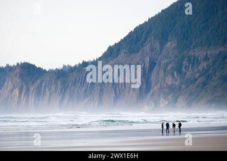 Der Blick nach Norden von Neahkahine Beach, Manzanita, Oregon, Pacific Northwest, USA. Stockfoto