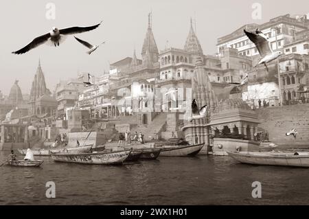 INDIEN, UTTAR PRADESH, VARANASI, BANARAS, AM GANGES RIVER, ENTLANG DES EINÄSCHERUNGSGEWÄCHSES VON MANIKARNIKA UND SEINEN TEMPELN SCHWEBEN MÖWEN ÜBER DEN BOOTEN Stockfoto