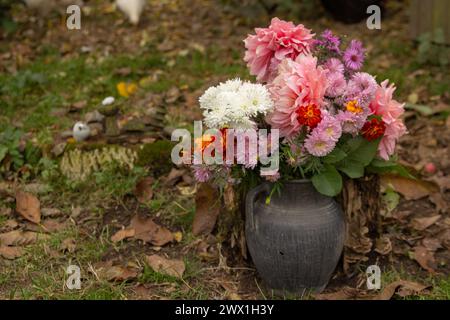 Im Garten auf den Blättern der Gefallenen steht ein Blumentopf mit Herbstblumen Stockfoto