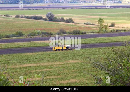 Eine Erntemaschine auf dem Feld sammelt Zuckerrüben Stockfoto