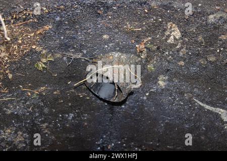 Schmutzige Kanalgrube offen im Hof Stockfoto