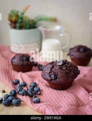 Blueberry Chocolate Chip Muffins Stockfoto