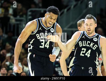 Milwaukee, USA. März 2024. Giannis Antetokounmpo (L) von Milwaukee Bucks feiert mit seinen Teamkollegen während des regulären NBA-Saisonspiels zwischen Los Angeles Lakers und Milwaukee Bucks in Milwaukee, USA, am 26. März 2024. Quelle: Joel Lerner/Xinhua/Alamy Live News Stockfoto