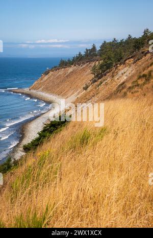 Blick auf die Küste im Fort Ebey State Park im US-Bundesstaat Washington Stockfoto