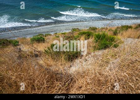 Blick auf die Küste im Fort Ebey State Park im US-Bundesstaat Washington Stockfoto