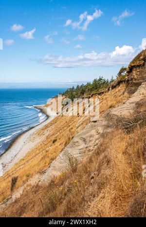 Blick auf die Küste im Fort Ebey State Park im US-Bundesstaat Washington Stockfoto