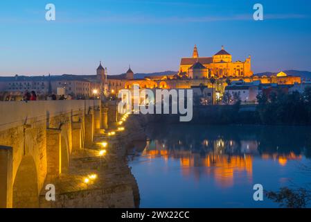 Fluss Guadalquivir, römische Brücke und Moschee-Kathedrale, Nachtansicht. Córdoba, Spanien. Stockfoto