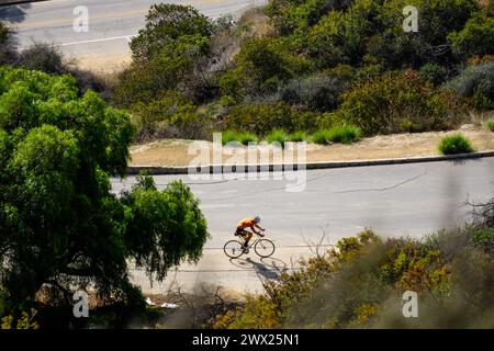 Griffith Park, Los Angeles, Kalifornien, USA. Mit über 4.000 Hektar ist der Park einer der größten städtischen Parks der Welt. Stockfoto