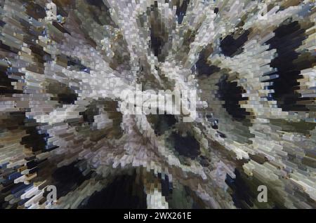 Lichen mit dem Computer verbunden. Stockfoto