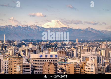 Skyline von Tokio in Japan. Tokio Stadtbild und Mount Fuji in der frühen Morgensonne. Stockfoto