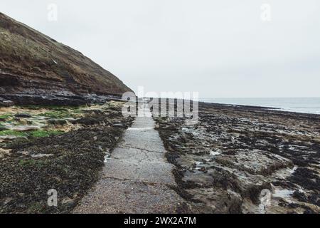 Felsen auf Filey Brigg bei Ebbe an der wunderschönen Yorkshire Coast in England. An einem bewölkten Tag mit grauem Himmel und vielen Felsbäumen herum. Stockfoto