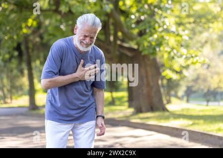 Älterer grauhaariger Mann, der nach dem Gehen und Sport an einem Herzinfarkt leidet, im Park stand und seine Hand an der Brust hielt, starke Schmerzen spürte. Stockfoto