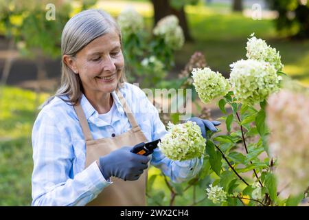 Ein Nahfoto einer lächelnden Seniorin in einer Schürze und Handschuhe, die im Garten arbeiten, die Blumen pflegen, die Blätter mit einer Schere schneiden. Stockfoto