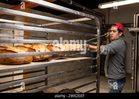 Junger latino-Bäcker, der die Brote aus dem Ofen nimmt und abkühlt Stockfoto