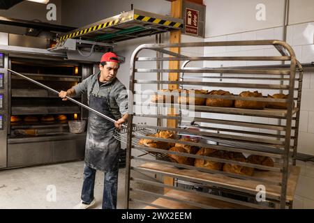 Latino Bäckermeister nimmt die Brote aus dem Ofen und lässt sie abkühlen Stockfoto