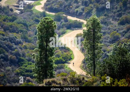 Griffith Park, Los Angeles, Kalifornien, USA. Mit über 4.000 Hektar ist der Park einer der größten städtischen Parks der Welt. Stockfoto