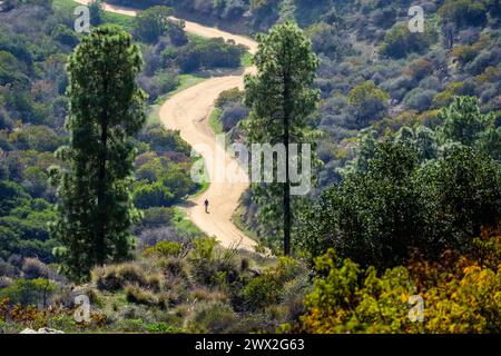 Griffith Park, Los Angeles, Kalifornien, USA. Mit über 4.000 Hektar ist der Park einer der größten städtischen Parks der Welt. Stockfoto