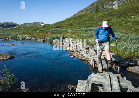 Wandern in Schwedisch Lappland. Mann überquert den Fluss auf einer kleinen kaputten Holzbrücke, allein in Nordschweden. Arktische Natur Skandinaviens im warmen Sommer Stockfoto