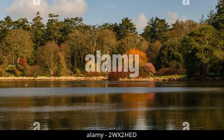 Von Bäumen gesäumter See mit wunderschönen Frühlingsfarben mit Reflexen Stockfoto