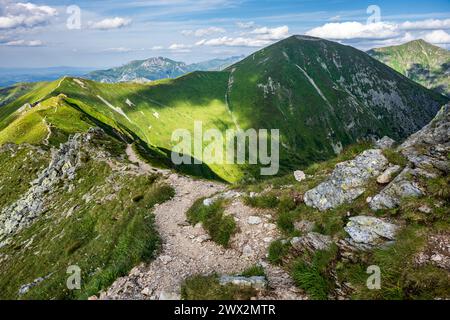 Malerischer Wanderweg in den Bergen am Sommertag. Wunderschöner Blick auf die grünen Gipfel der Westtatra, Polen und die Slowakei. Beliebte Wanderer sind das Ziel. Stockfoto