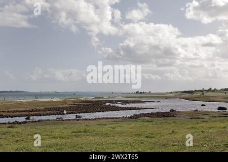 Bewirtschaftetes Marschland in Mols, Dänemark Stockfoto