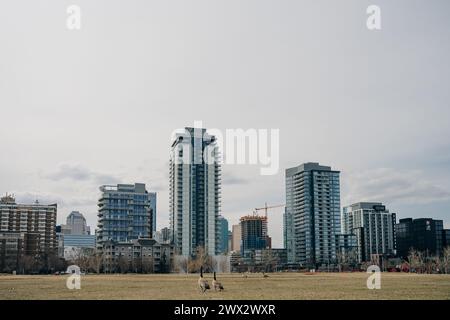 Calgary, Alberta Kanada - Mai, 2. Mai 2023 Downtown, Zentrum von Calgary. . Hochwertige Fotos Stockfoto