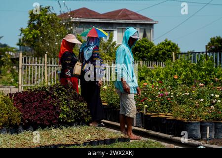 Zwei Frauen mit Hüten schauen tagsüber mit dem Gartenbesitzer Pflanzen in einem Blumengarten an Stockfoto