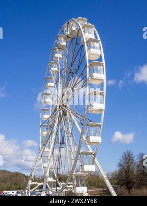 Weißes Riesenrad bei Trentham Gardens Stockfoto