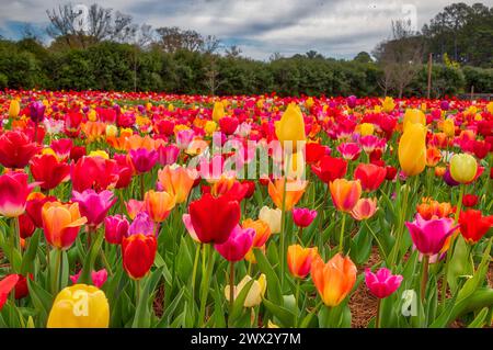 Callaway Gardens, GA Stockfoto