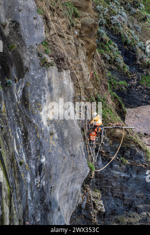 Ein Arbeiter, der an Seilen hängt, um die Klippe oberhalb des Great Western Beach in Newquay in Cornwall in Großbritannien zu stabilisieren. Stockfoto