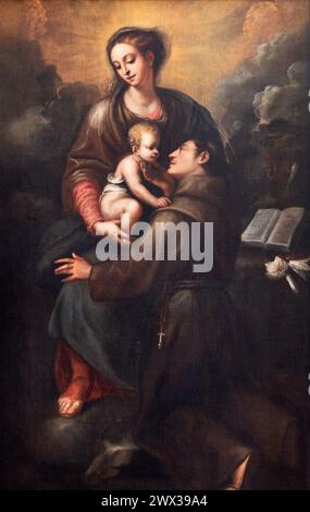 MAILAND, ITALIEN - 7. MÄRZ 2024: Das Gemälde der Madonna mit der Heiligen Antohny von Padua in der Kirche Chiesa di San Bartolomeo von unbekanntem Barockkünstler. Stockfoto