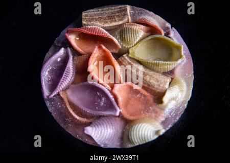 Nahaufnahme farbenfroher Rigatoni- und Muschelnudelformen, die in Eis auf schwarzem Hintergrund gefroren sind. Stockfoto