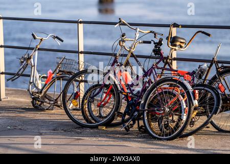 Schrottfahrräder, alte, teilweise geplünderte, demontierte Fahrräder, in der HafenCity in Hamburg, am Ufer eines Hafenbeckens, Stockfoto