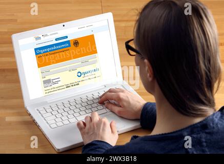 Symbolisches Bild des Organspenderegisters, informiert sich die Person über das neue Online-Register für Organspende, in dem Sie sich als Spender registrieren können Stockfoto