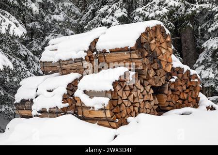 Pakete mit Brennholzstücken im Winter Stockfoto