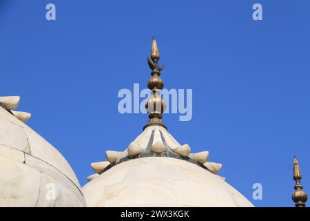 Detail der Moti Masjid- oder Perlenmoschee im Red Fort Complex in Agra, Indien Stockfoto